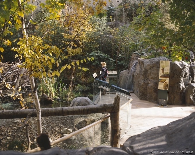 Montreal Biodome - Page 2 - ZooChat