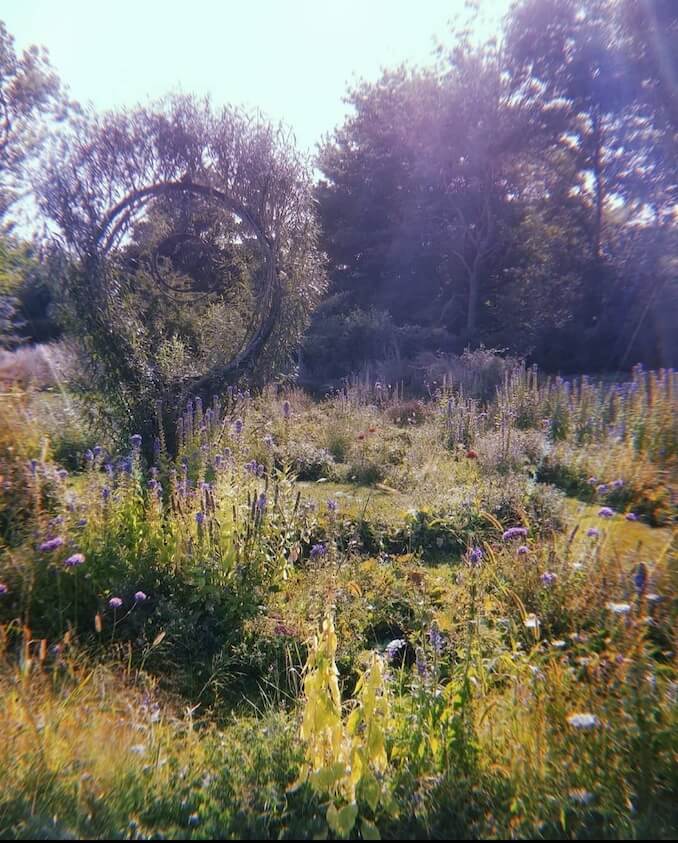 This photo is the labyrinth maze at the Tangled Garden in Wolfville, Nova Scotia. My favorite place in NS, and a prime spot for foraging. It's magical, I highly suggest going if you ever get the chance!