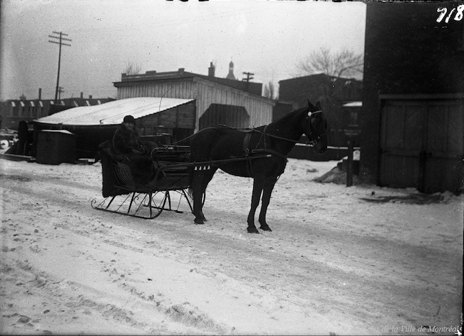 1919-Monsieur T. W. Lesage et son cheval sur la rue du Grand Tronc