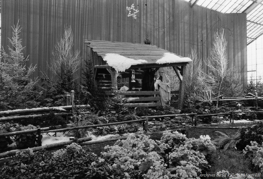 1963-Crèche de noël au Jardin botanique