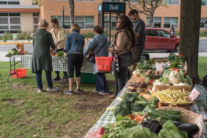 The Depot Community Food Centre