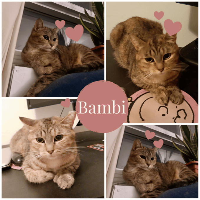 Bambi