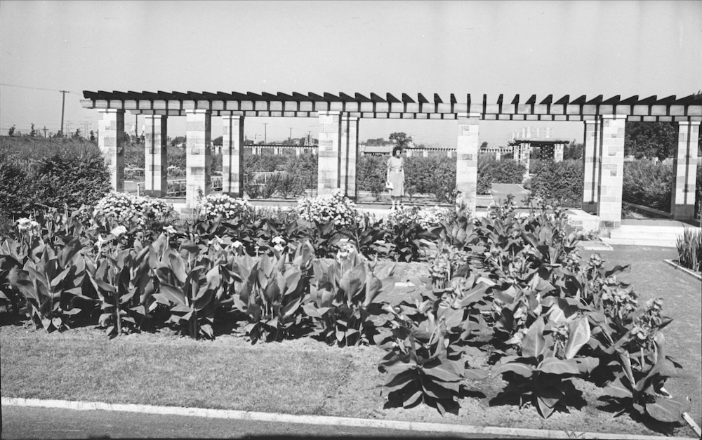 1940 - Au Jardin Botanique. Cannas en premier plan