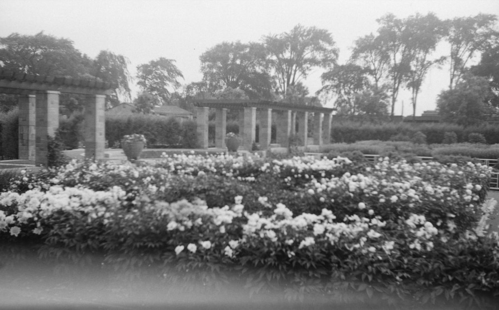 1945 - jardins botaniques