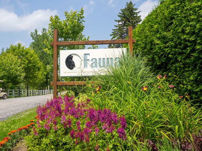 Fauna Foundation
