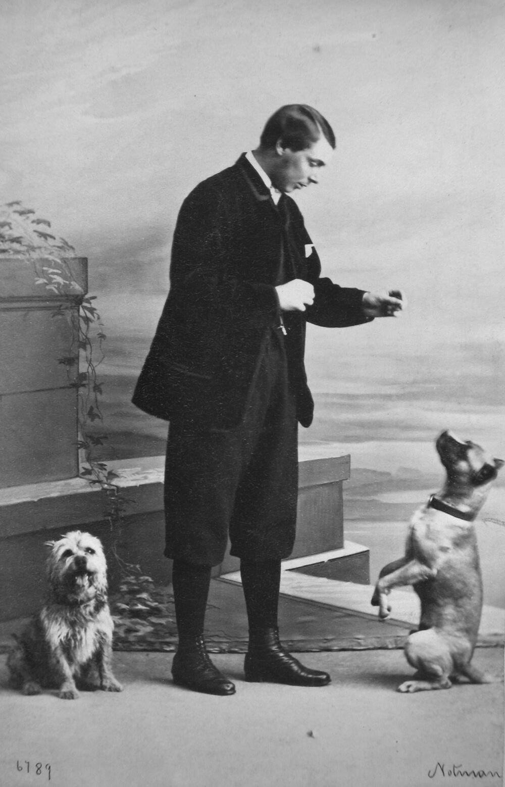 1863 - Capt. Littleton and dogs, Montreal