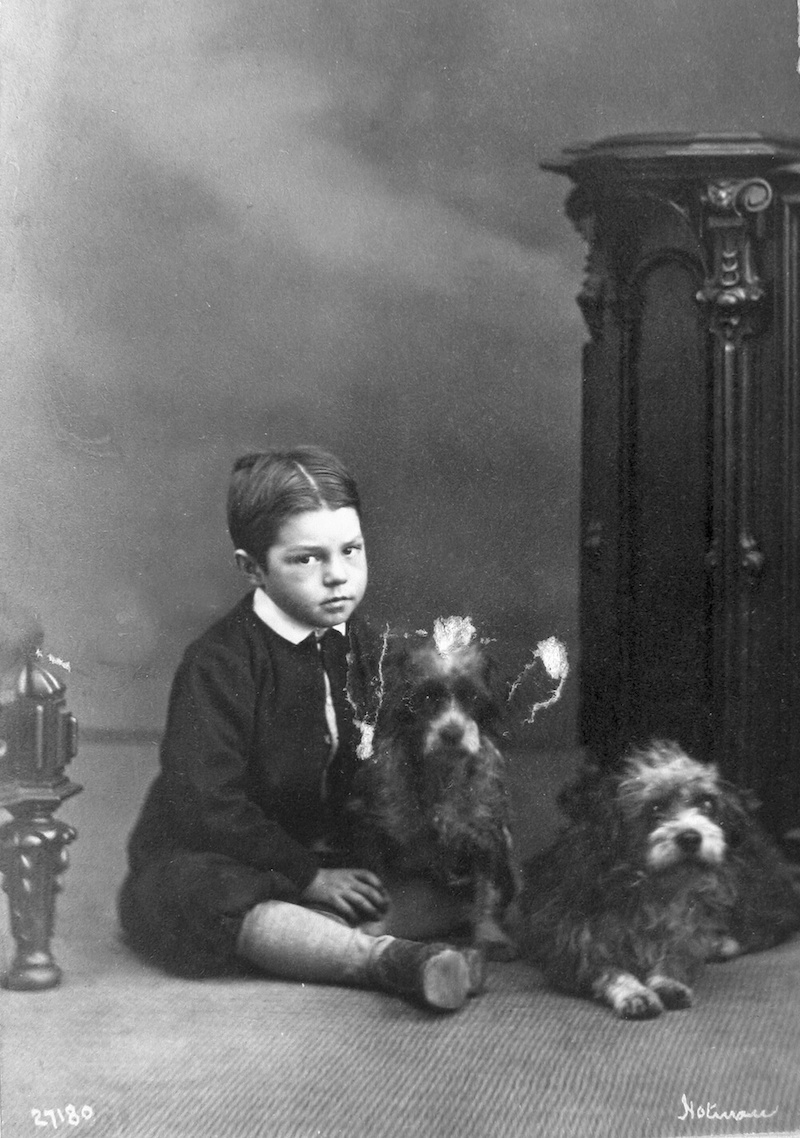 1867 - Master Niven and two dogs, Montreal