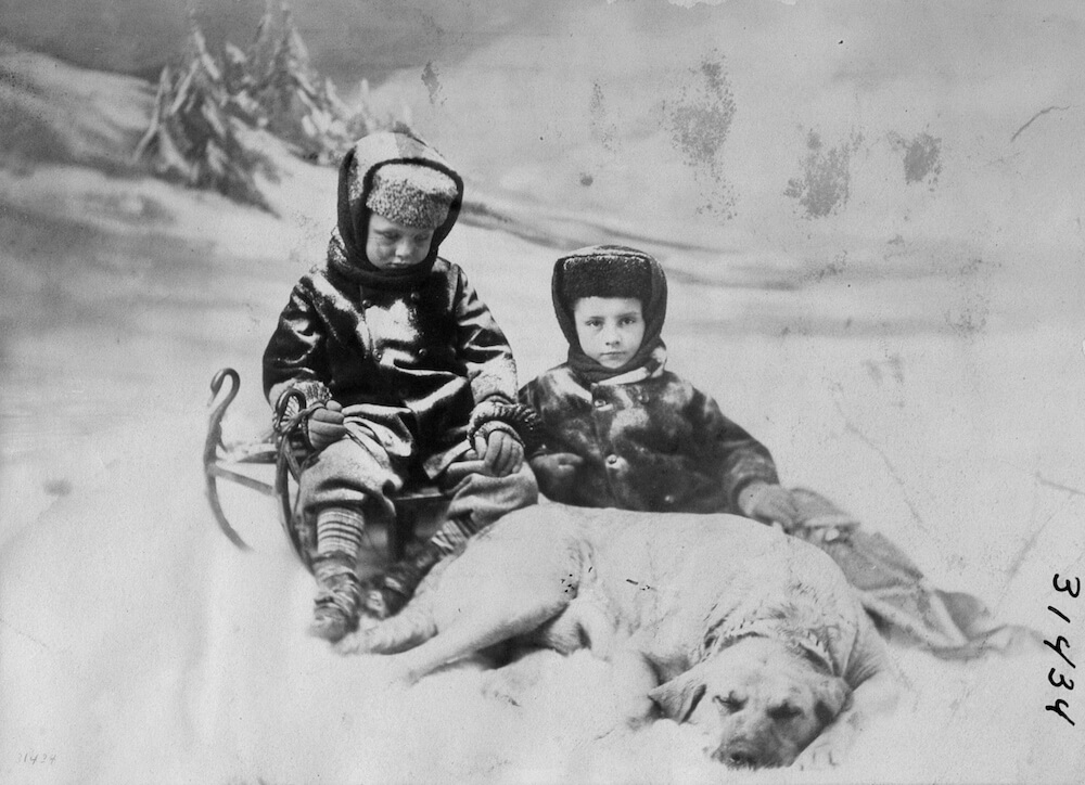 1868 - Master W. and Master H. Boulton with their dog, Montreal