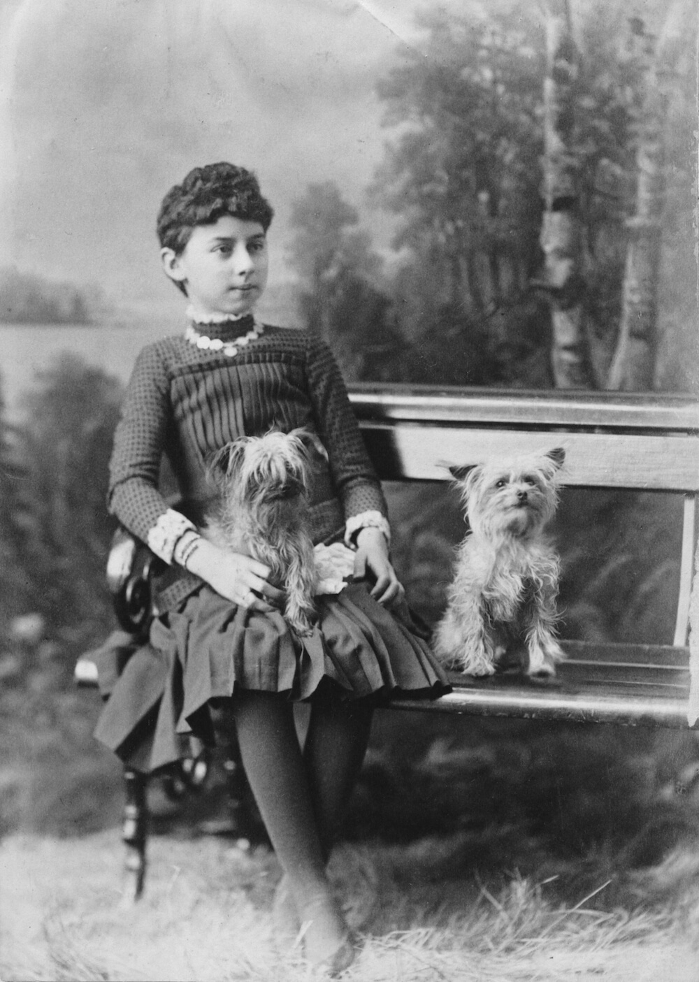 1885 - Miss Cleary and dogs, Montreal