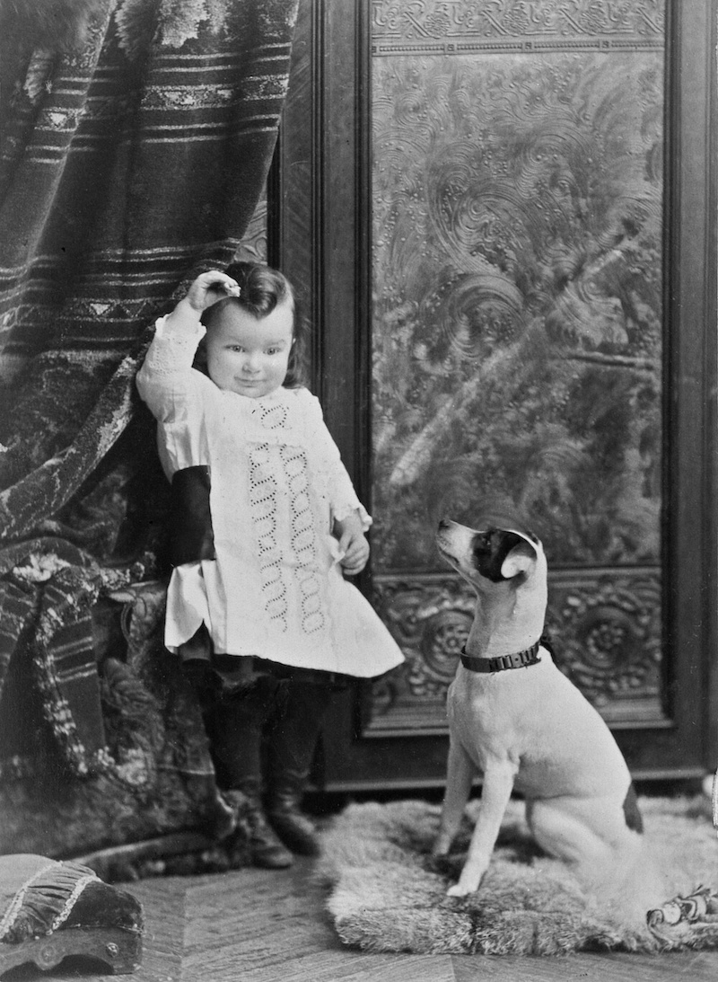 1886 - Mrs Trotter's baby and dog, Montreal