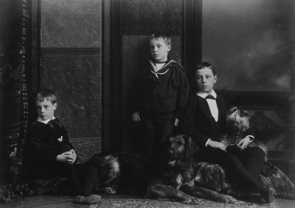 1886 - Mrs. Charles Sise's boys and dogs, Montreal