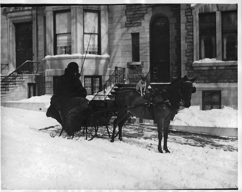 1896 - Miss Hamilton's pony, sleigh and dog, Montreal