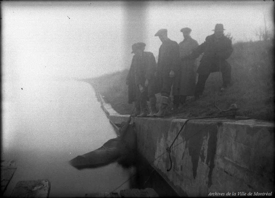 1924 - Photographie d'un groupe d'ouvriers travaillant à sortir un cheval tombé dans le canal de l'aqueduc.