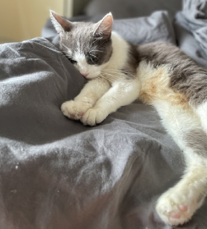 Roxanne