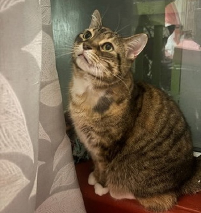 Chloé