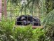 Fauna Foundation
