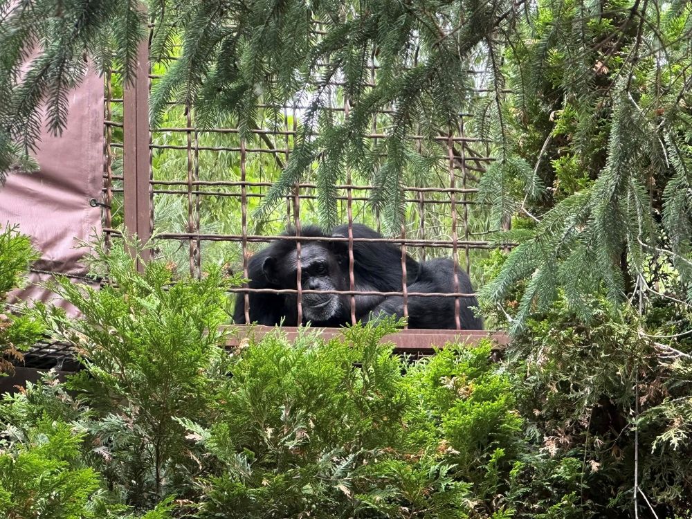 Fauna Foundation