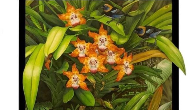 Tatouage Black Orchid