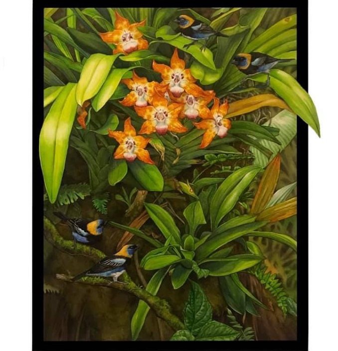 Tatouage Black Orchid