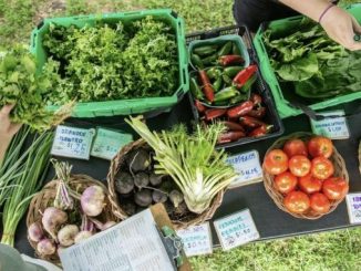 The Depot Community Food Centre