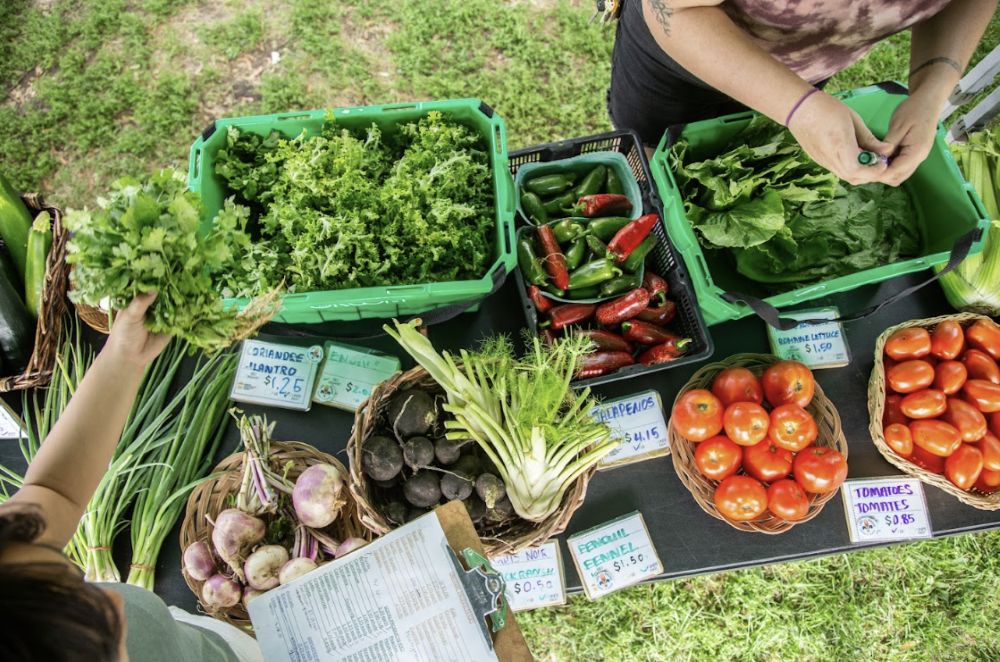 The Depot Community Food Centre
