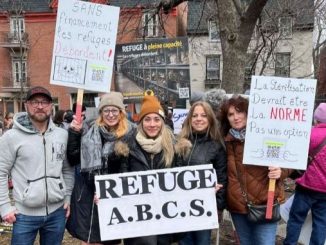 Refuge A.B.C.’S. Rescue