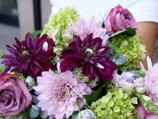 Westmount Florist