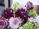 Westmount Florist